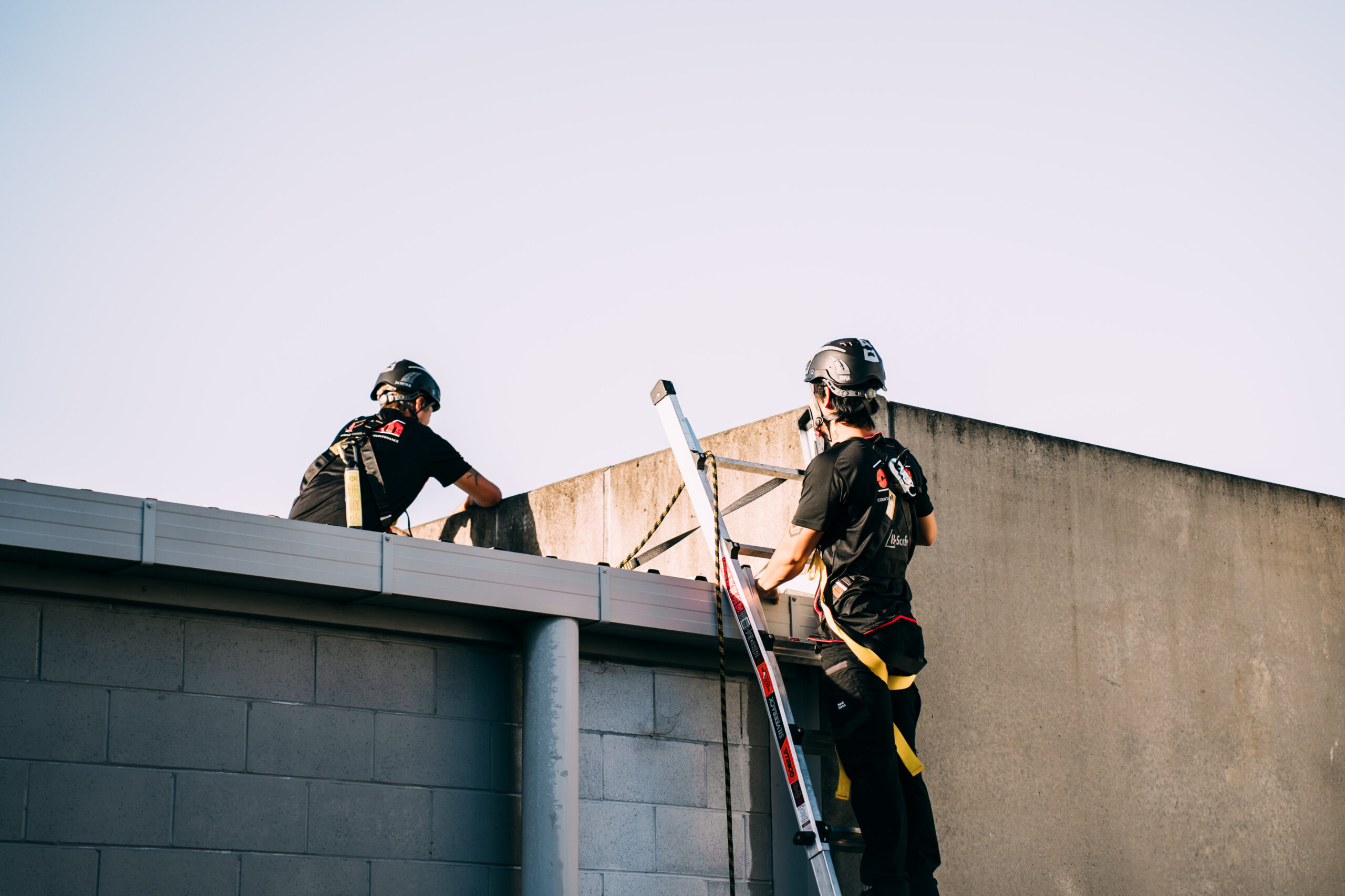 Workers on ladder