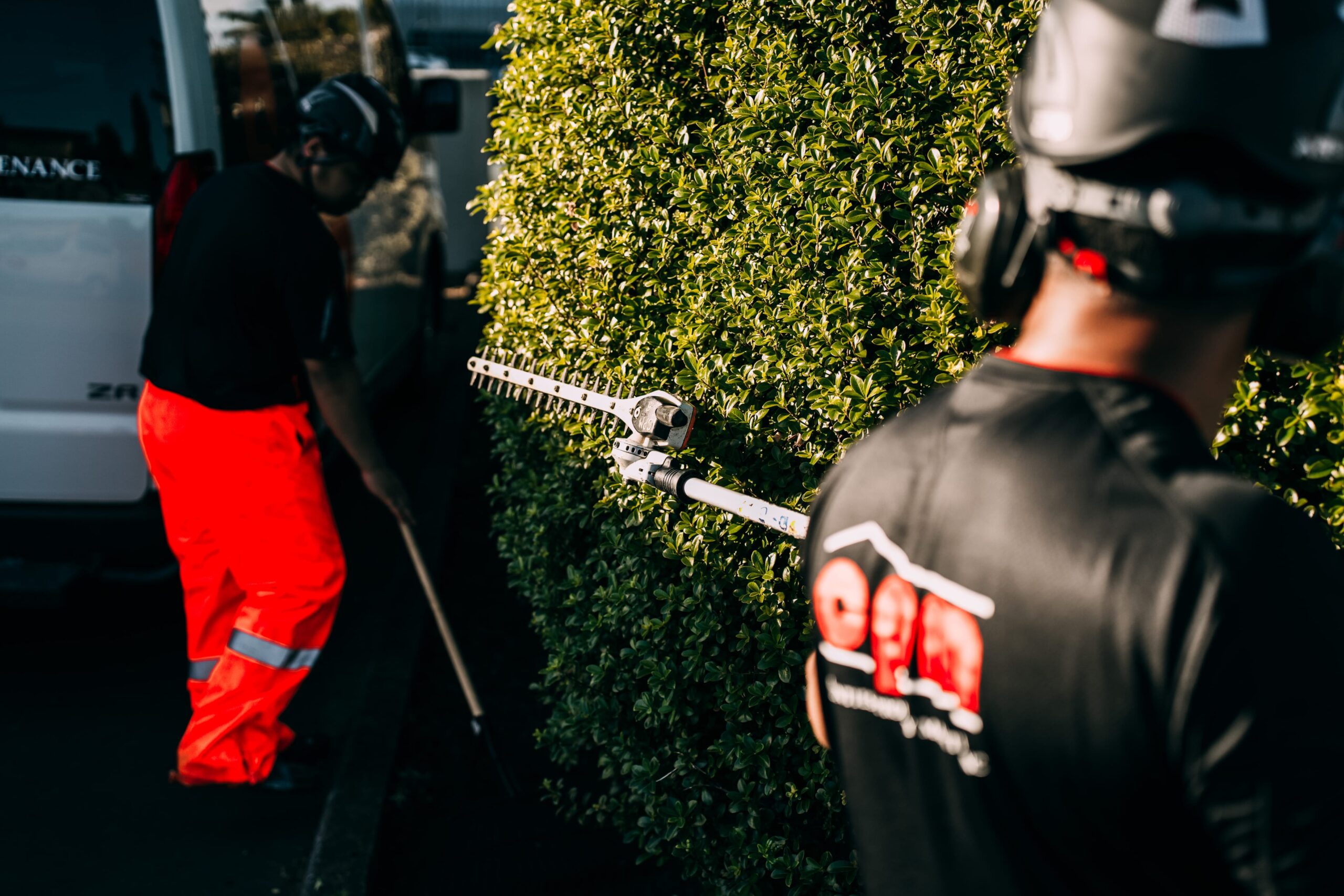 b78de671869dbb77179f421b57db8de499631d43-min Hedge Cutting